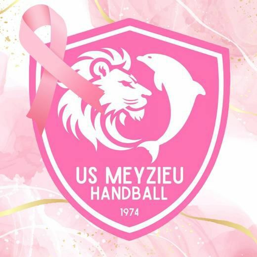 Octobre Rose US Meyzieu HB 2025