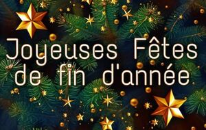 Joyeuses Fêtes de fin d'année 